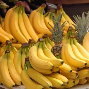 Dwarf Cavendish Banana Plant Live for Planting, Banana Trees Live Plants for Outdoor Indoor Planting, Cold Hardy, 4-7