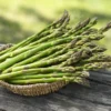Asparagus Plants – Jersey Knight – Bare Root – 25 Crowns – Outdoor - Image 1