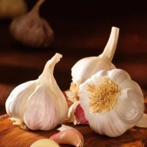 Garlic Bulbs - Music Garlic, 1 Pound