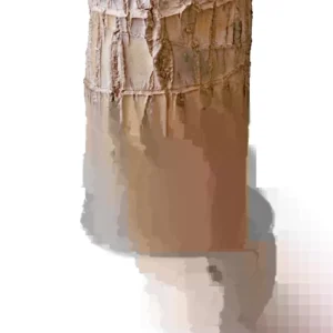 Lucky Fortune Hydroponic Corn Plant for Indoor Outdoor (Wood no buds 1 to 2 ft Tall) - Image 3