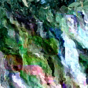 Fuji Apple Tree Live Plant - Rooted Fruit Tree, 3+ ft Tall, Outdoor - Image 2