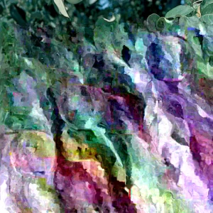 Honeycrisp Apple Tree Live Plant - 3 ft Tall Fruit Tree, USDA Zones 3-8 - Image 2