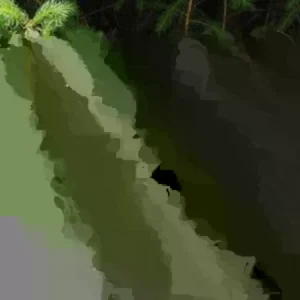 Dogwood Tree Live Plant - 1 ft Tall - Outdoor Flowering Ornamental Tree - Image 1