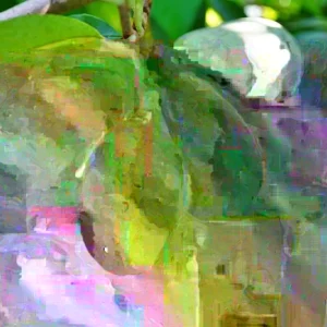 Pawpaw Tree Live Plant - 1 ft Tall Asimina triloba Fruit Tree for Home Garden - Image 3