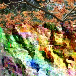 Witch Hazel Live Plant - Well-Rooted Hamamelis virginiana Shrub, 12-24 in Tall, Outdoor - Image 4