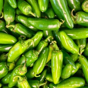 3 Jalapeno Live Starter Plants - Hot Pepper Plant for Outdoor Garden, 1-3 Inch Tall - Image 1