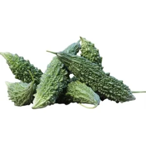 Bittermelon Live Plant - Bitter Gourd Starter for Planting, 3-5 Inch Tall - Image 7