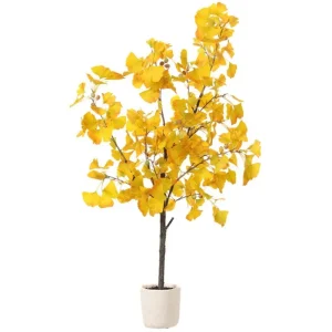 Ginkgo Live Starter Plant Tree, 6-8 Inch Tall, 4 Inch Pot, Indoor/Outdoor - Image 1