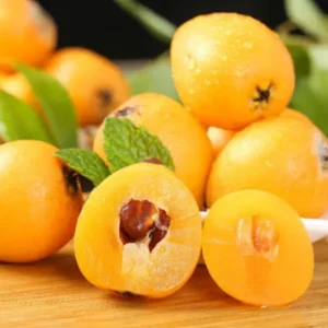 Golden Loquat Live Starter Plant - 4-8 Inch Loquat Tree for Outdoor/Indoor Growing, 4 Inch Pot - Image 4