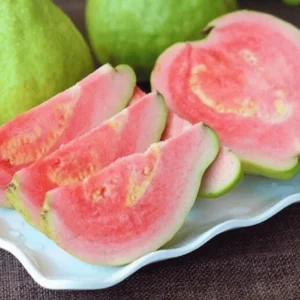 Grafted Ruby Guava Tree Live Plant 3-4 Ft Tall Sweet Red Guavas 3 Gallon Pot - Image 3