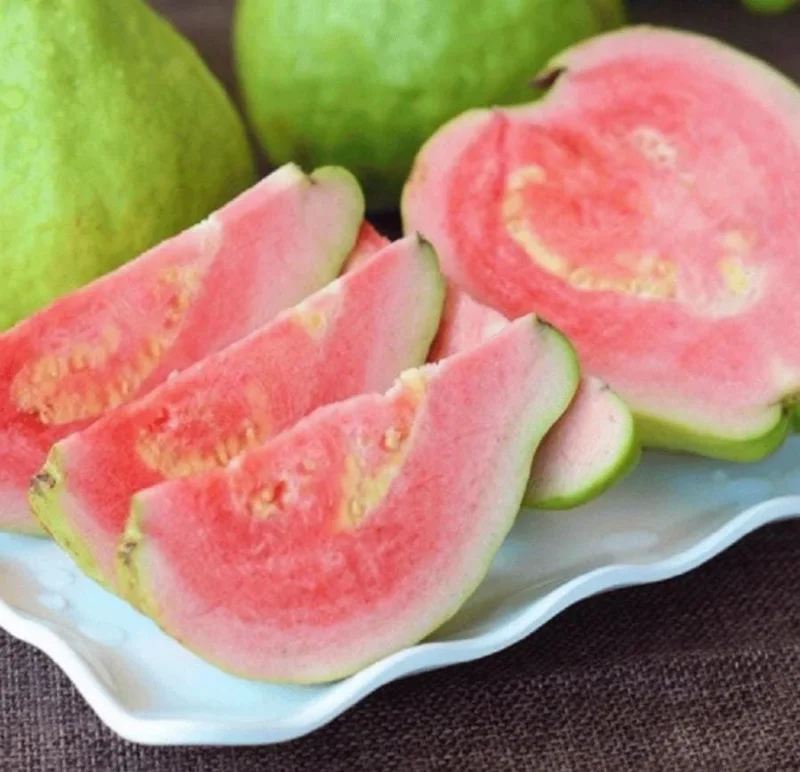 Grafted Ruby Guava Tree Live Plant 3-4 Ft Tall Sweet Red Guavas 3 Gallon Pot - Image 3