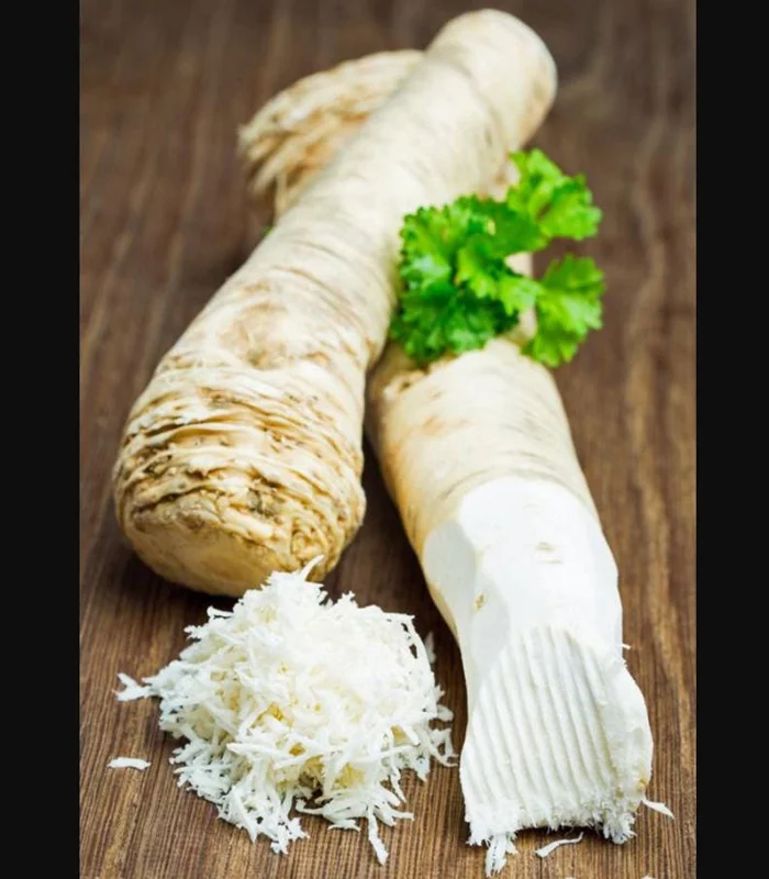 Horseradish Plant Bare Roots, Armoracia Rusticana, 2-Pack, 4-8 Inches Tall, Outdoor - Image 7