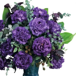 Lisianthus Voyage 2 Blue Plant Plug - Live Starter, 1-3