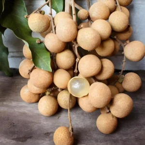 Longan Live Starter Plant – Tropical Fruit Tree – 4-8 Inch Tall – 4 Inch Pot - Image 6