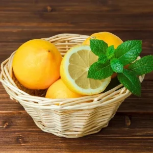 Meyer Lemon Live Plant – Fragrant Citrus Bush – Starter Plant 2-3 Inches Tall – Indoor/Outdoor - Image 4