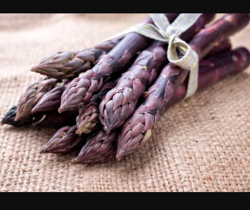 Purple Passion Asparagus Bare Roots – Pack of 5 for Planting – 4-8 Inch Tall - Image 6