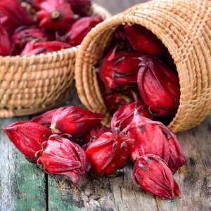 Roselle Hibiscus Live Plant, Jamaican Sorrel, Red, 8-12 Inch Tall, 2 Plants in Pot - Image 10