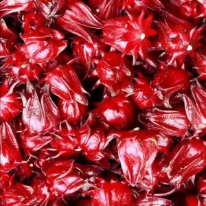 Roselle Hibiscus Live Plant, Jamaican Sorrel, Red, 8-12 Inch Tall, 2 Plants in Pot - Image 2