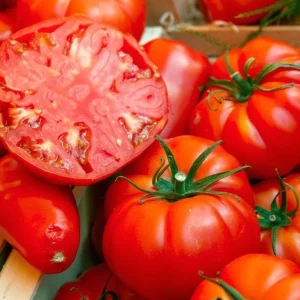 Set of 3 Beefsteak Tomato Live Plants, 4