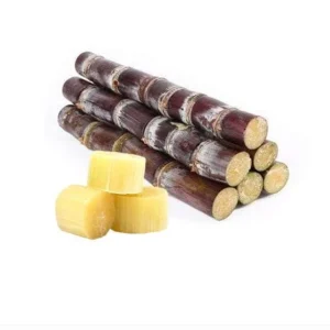 Sugarcane Plant Cuttings - Yellow & Purple, 20 Pieces, 1-2 ft Long, Live Plant - Image 5