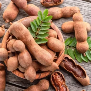 Tamarind Live Starter Plant - 4 Inch Pot, Fruit Tree Seedling - Image 2