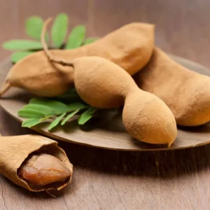 Tamarind Live Starter Plant - 4 Inch Pot, Fruit Tree Seedling - Image 5