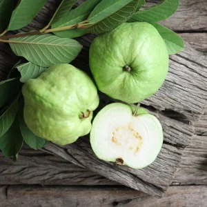 White Guava Live Plant – Sweet Tropical Fruit Tree Seedling – 4-8 Inch Tall – 4 Inch Pot - Image 2