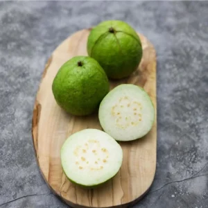 White Guava Live Plant – Sweet Tropical Fruit Tree Seedling – 4-8 Inch Tall – 4 Inch Pot - Image 9