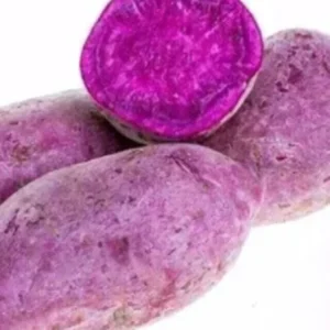 10 Mixed Variety Sweet Potato Plants - Live Yam Plants for Planting - Image 2