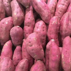 10 Mixed Variety Sweet Potato Plants - Live Yam Plants for Planting - Image 5