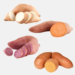 10 Mixed Variety Sweet Potato Plants - Live Yam Plants for Planting - Image 1