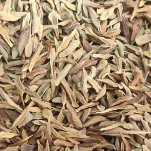 15 White Loroco Seeds - Climbing Edible Flower Vegetable Vine for Planting - Image 7