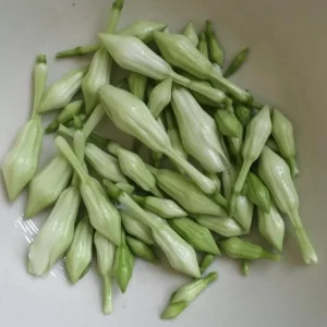 15 White Loroco Seeds - Climbing Edible Flower Vegetable Vine for Planting - Image 8