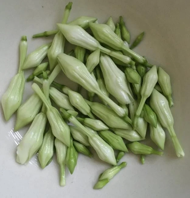 15 White Loroco Seeds - Climbing Edible Flower Vegetable Vine for Planting - Image 8