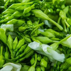 25 White Loroco Flower Seeds – Climbing Edible Vegetable Vine – Rare Plant - Image 1