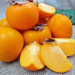 American Persimmon Bare Root for Planting – Sweet Fruit Tree – 6-12 Inch Tall - Image 5