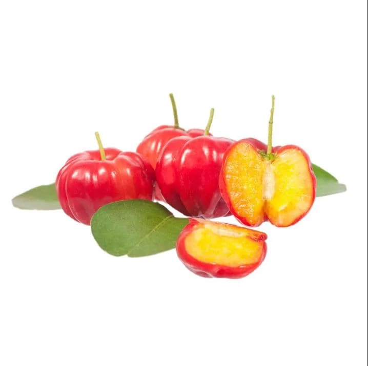 Barbados Cherry Live Plant – Acerola Fruit Tree Starter – 4-8 Inch Tall - Image 3
