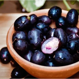 Black Jambu Plum Tree Live Plant - Jamun Fruit Tree in Half Gallon Pot, Tropical Sweet Jambul for Outdoor Garden - Image 1