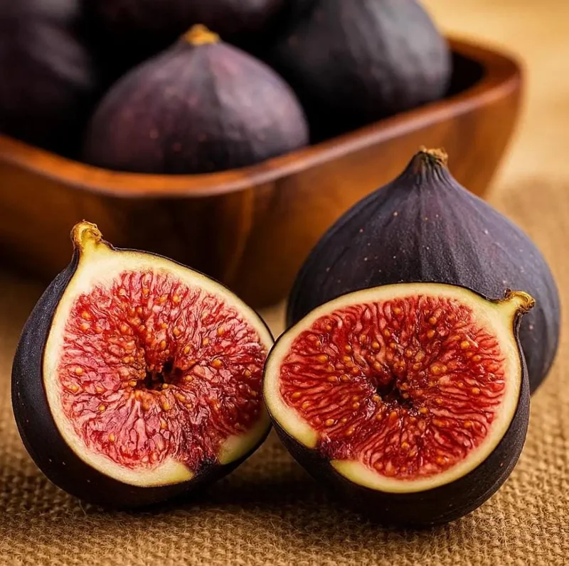 Black Mission Fig Tree Live Starter Plant - 4-8 Inch Tall, Perennial Fruit - Image 10