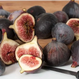 Black Mission Fig Tree Live Starter Plant - 4-8 Inch Tall, Perennial Fruit - Image 8