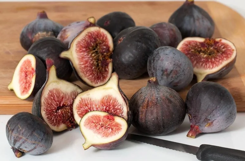 Black Mission Fig Tree Live Starter Plant - 4-8 Inch Tall, Perennial Fruit - Image 8