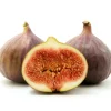 Brown Turkey Fig Tree Live Starter Plants – Pack of 3, 4-8 Inch Tall, Outdoor Edible Fruit Tree - Image 1