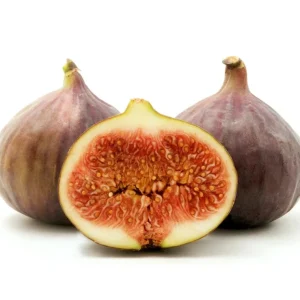 Brown Turkey Fig Tree Live Starter Plants – Pack of 3, 4-8 Inch Tall, Outdoor Edible Fruit Tree - Image 1