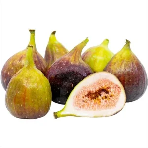 Brown Turkey Fig Tree Starter Plant - 4-8 Inch Live Ficus Carica Edible Fruit Tree - Image 6