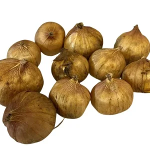 Gladiolus Bulbs Rainbow Mix – 5 Large Flowering Gladioli Bulbs 12/14 cm - Image 7