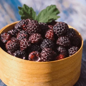 Glencoe Thornless Raspberry Live Plants - Pack of 2, 4-8 Inch Tall, Sweet Purple Fruit - Image 2