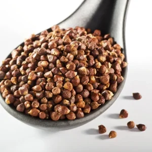 Grains of Paradise Live Plant Starter – Alligator Pepper – 4-8 Inch Tall - Image 4