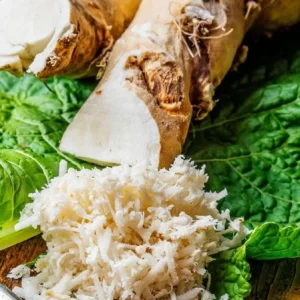 Horseradish Bare Root Plant – Armoracia Rusticana – 4-8 Inch Tall - Image 6