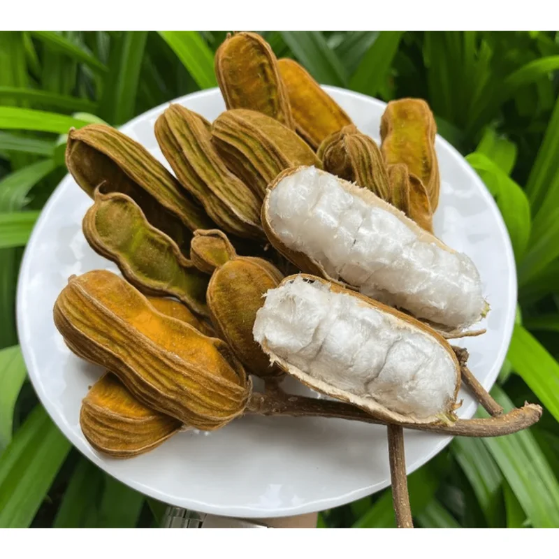 Ice Cream Bean Live Plant - Guaba Fruit Tree 8-10 Inch Tall in Half Gallon Pot - Image 1