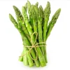 Jersey Supreme Asparagus Bare Roots - Pack of 5, 4-8 Inch Tall, Outdoor Vegetable Plant - Image 1